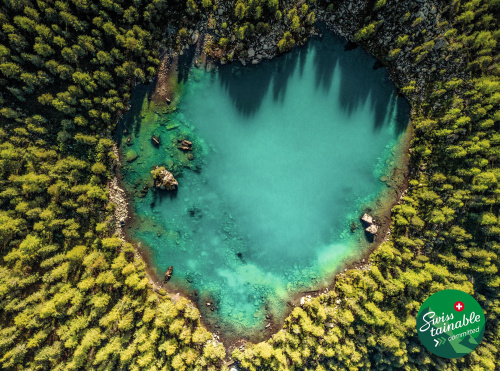 Unser Engagement für Nachhaltigkeit: Stolzes Mitglied von Swisstainable